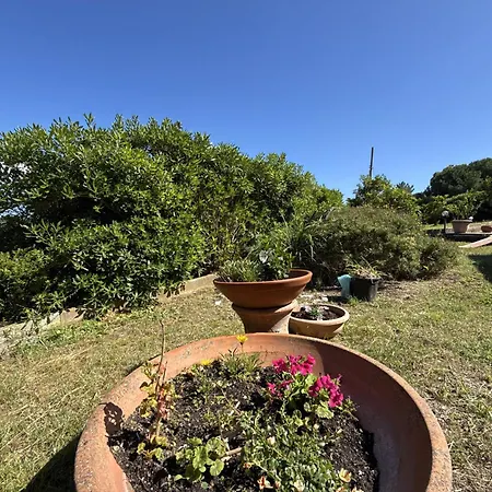 Apartman I Limoni - Argonautivacanze Marina di Campo
